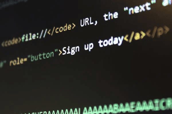 Website Speed
